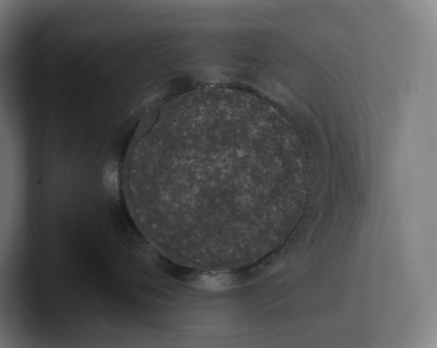 X0000101990720200808011101