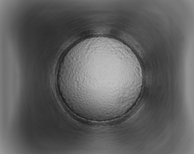 X0000101990721200808011100