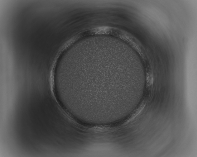 X0000101990725200808011100