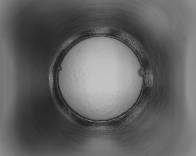 X0000101990726200808011100