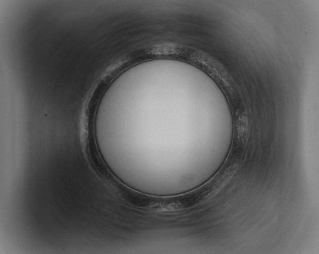 X0000101990727200808011100