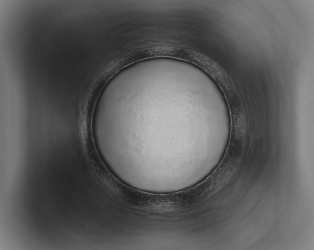 X0000101990729200808011100