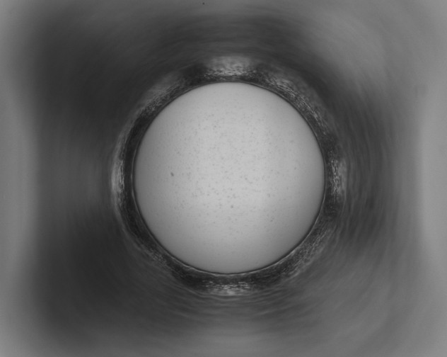 X0000101990731200808011100