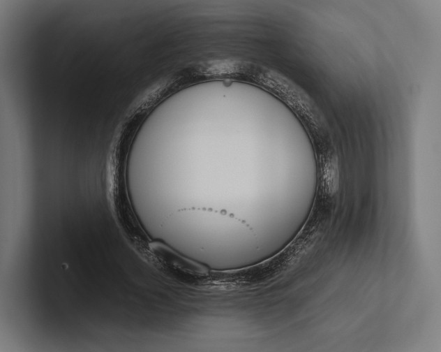 X0000101990732200808011100