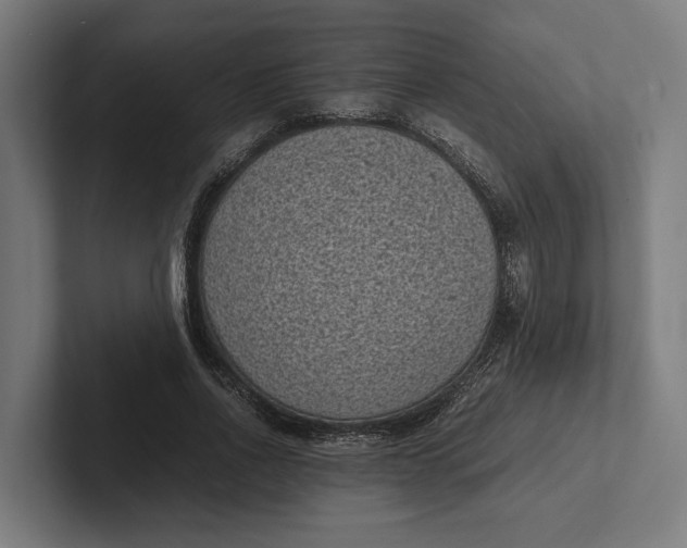 X0000101990734200808011100