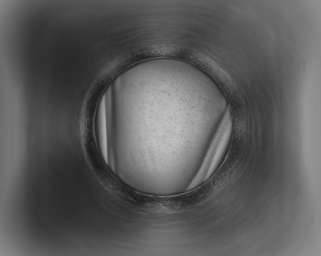 X0000101990736200808011101