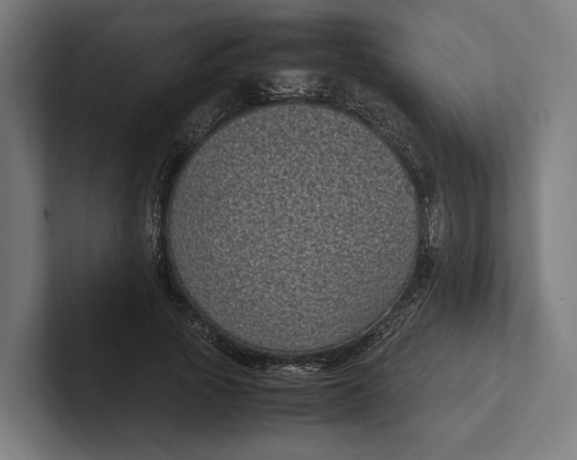 X0000101990737200808011101