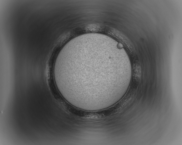 X0000101990738200808011101