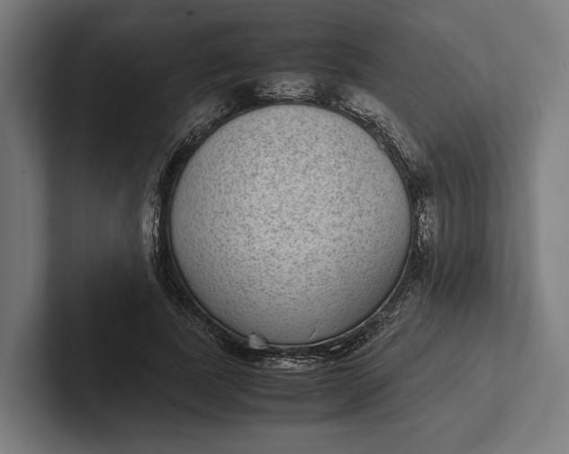 X0000101990739200808011101