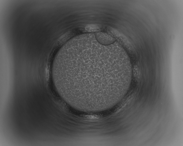 X0000101990741200808011101