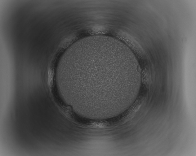 X0000101990742200808011101