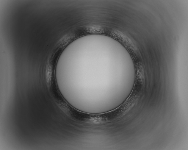 X0000101990744200808011101