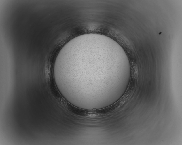 X0000101990746200808011101