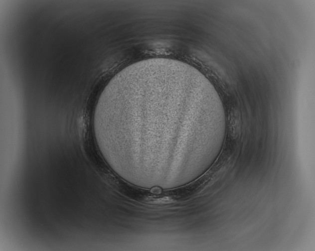 X0000101990747200808011101