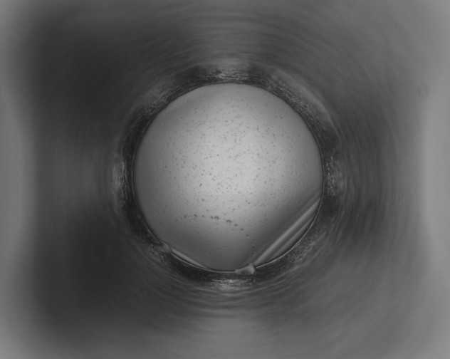 X0000101990748200808011101