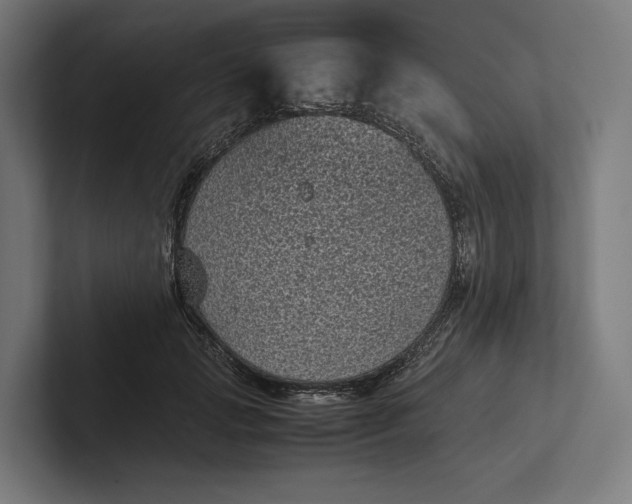 X0000101990749200808011101