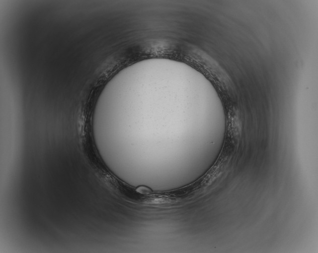 X0000101990750200808011101