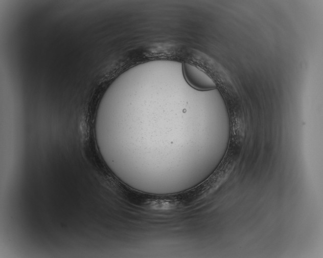 X0000101990751200808011101