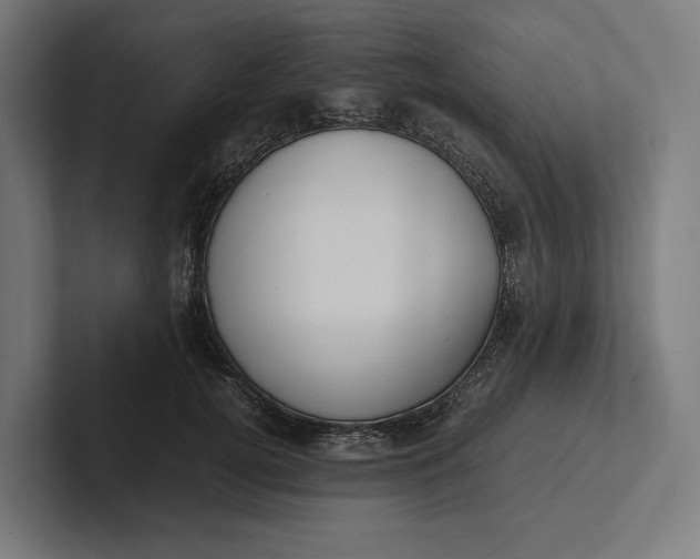 X0000101990752200808011101