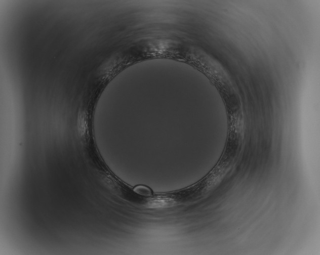 X0000101990754200808011101