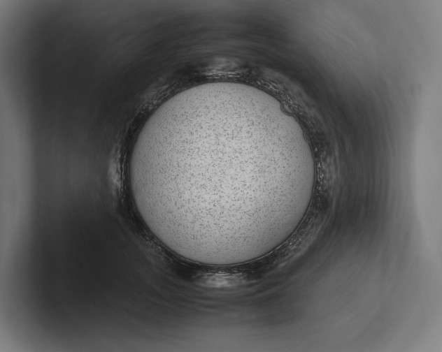 X0000101990755200808011101