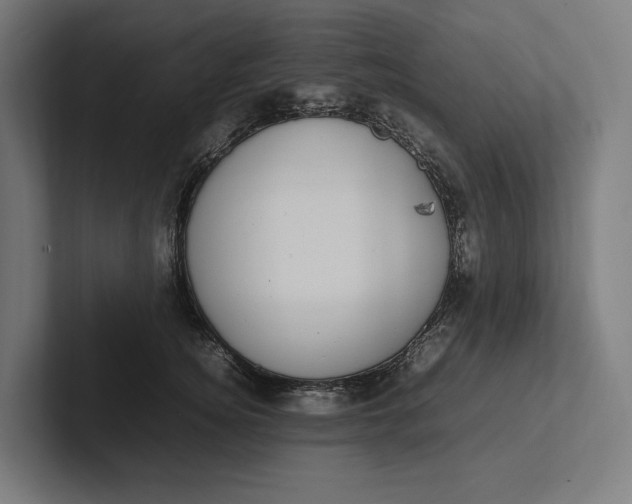 X0000101990756200808011101