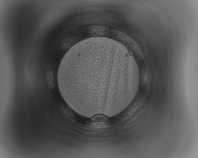 X0000101990759200808011101