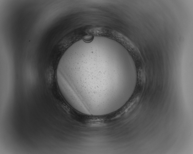 X0000101990760200808011101