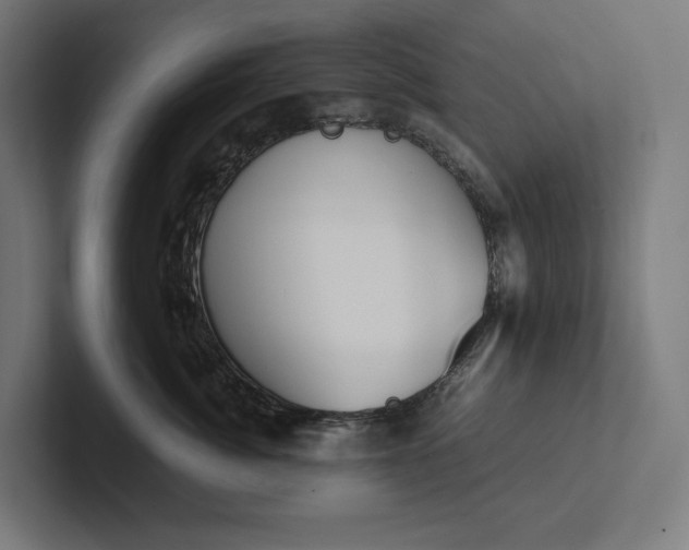 X0000101990764200808011101