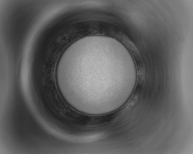 X0000101990765200808011101