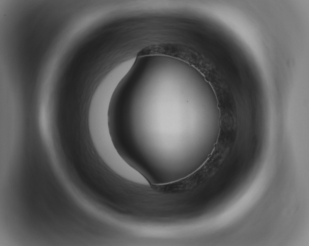 X0000101990766200808011101