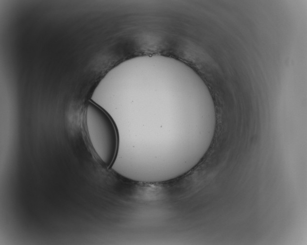 X0000101990768200808011101