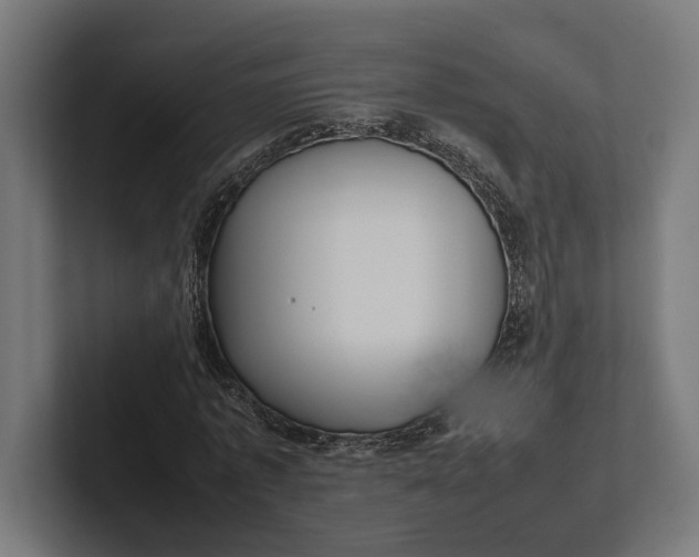 X0000101990773200808011100