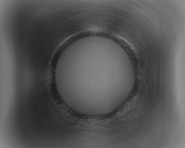 X0000101990776200808011100