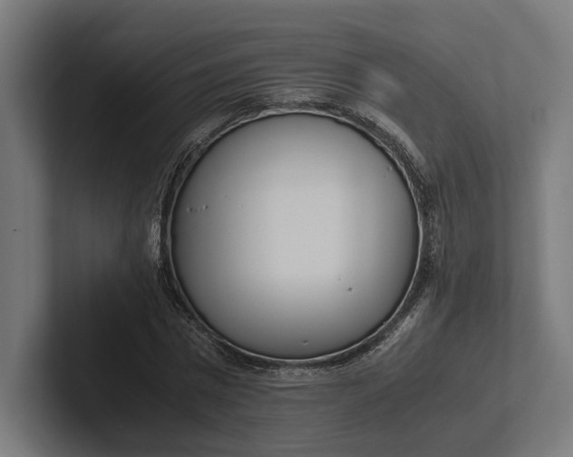 X0000101990777200808011100