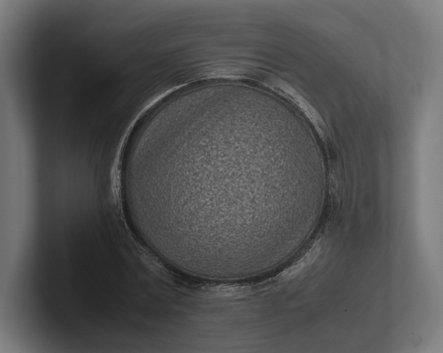 X0000101990779200808011100