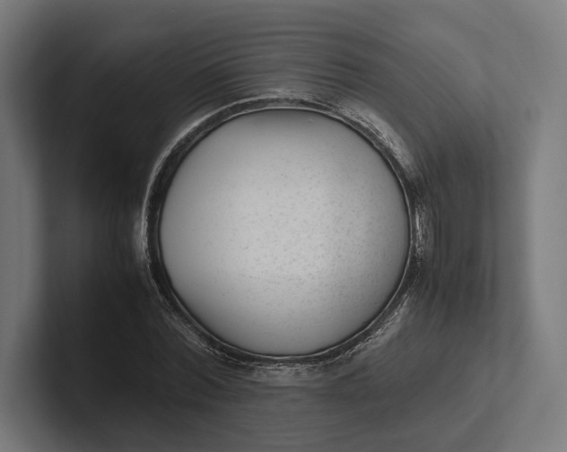 X0000101990780200808011100