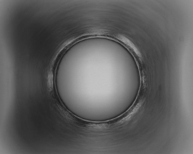 X0000101990781200808011100