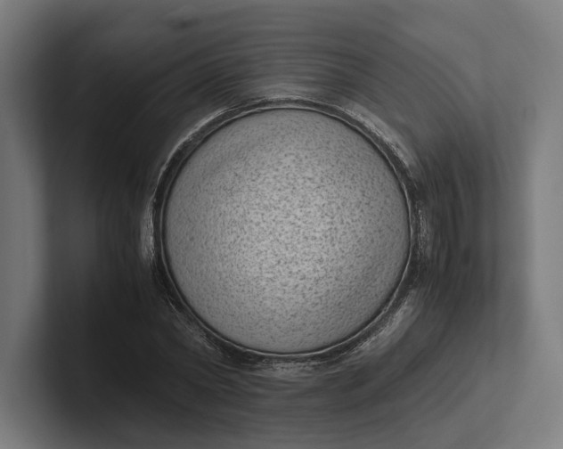 X0000101990782200808011100