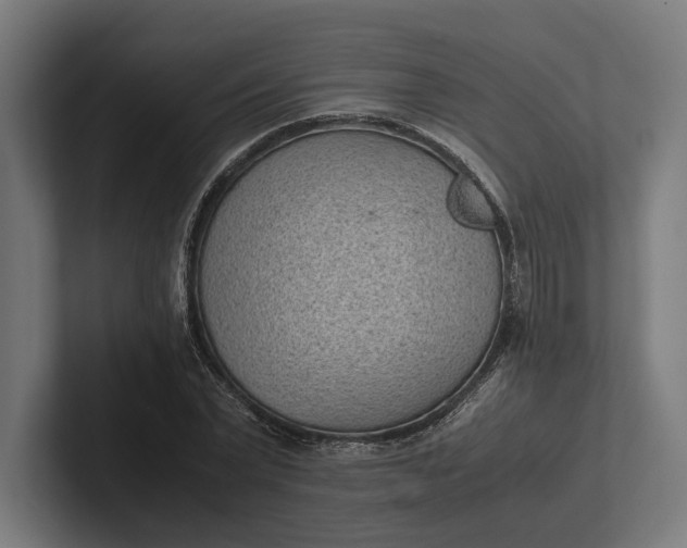 X0000101990783200808011100