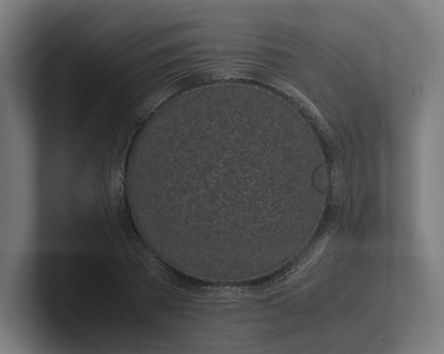 X0000101990785200808011100