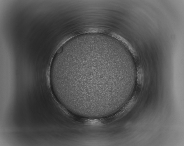 X0000101990794200808011100