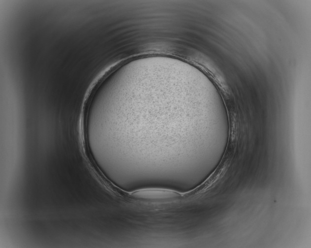 X0000101990796200808011100