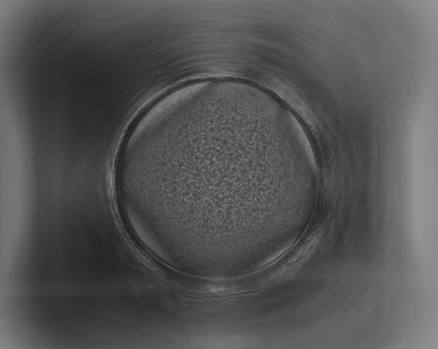 X0000101990797200808011100