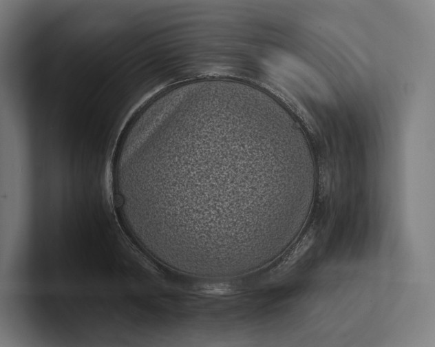 X0000101990798200808011100