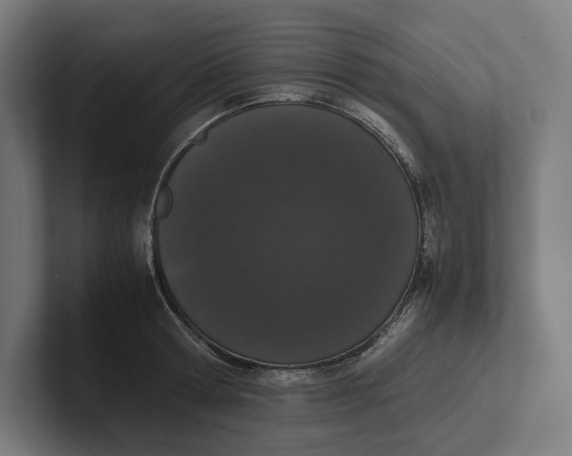 X0000101990802200808011100