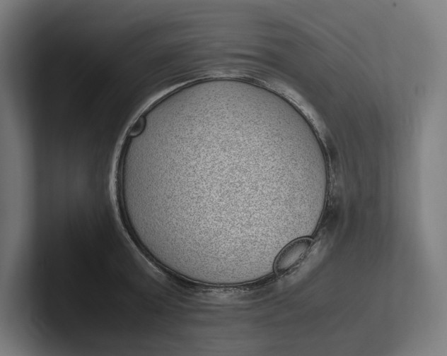 X0000101990803200808011100