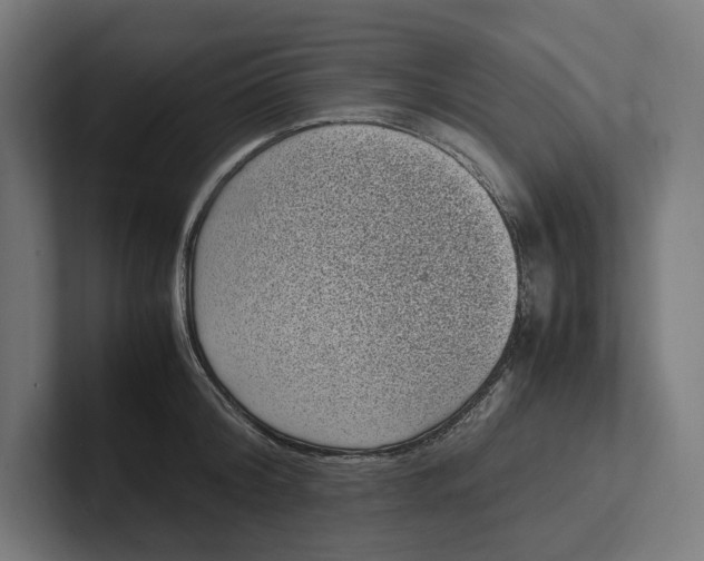 X0000101990804200808011100