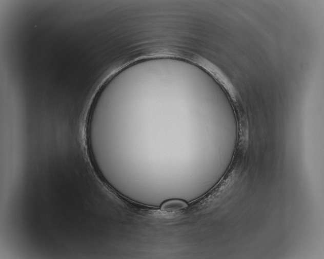 X0000101990805200808011100