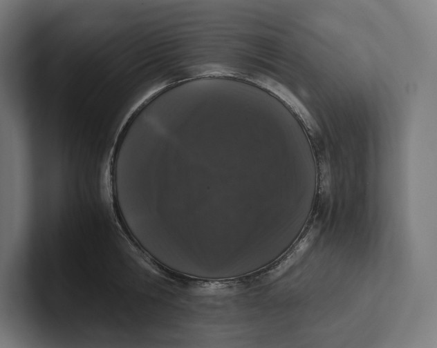 X0000101990806200808011100